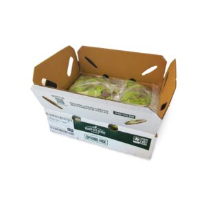 Spring Mix 1-1lb | Packaged