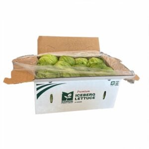 Premium Iceberg Lettuce | Packaged