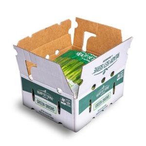 Washed & Trimmed Green Onions | Packaged