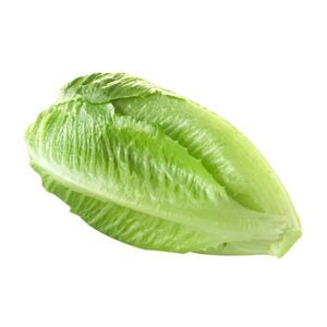 Mini Romaine Lettuce | Raw Item