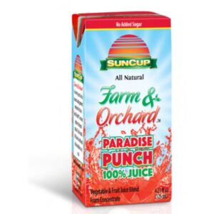 Paradise Punch Juice Box | Packaged