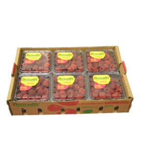Fresh Red Raspberries | Packaged