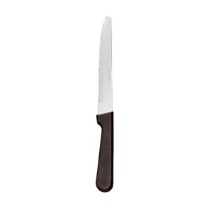 8.75 Inch Stainless Steel Serrated Steak | Raw Item