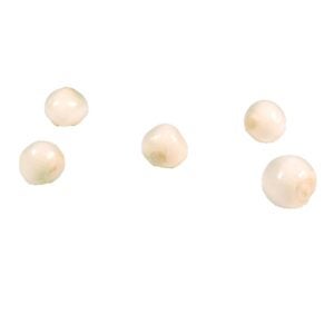 Peeled Pearl Onions | Raw Item