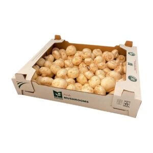 Fresh Medium Mushrooms | Packaged