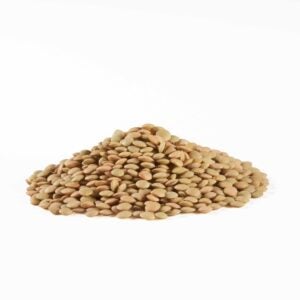 Dry Lentils | Raw Item