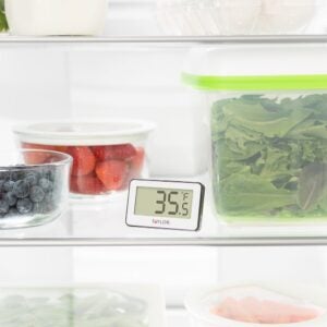 Refrigerator/Freezer Thermometer | Styled