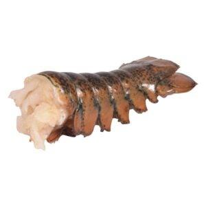 North Atlantic Lobster Tails | Raw Item