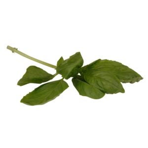 Fresh Leaf Basil | Raw Item