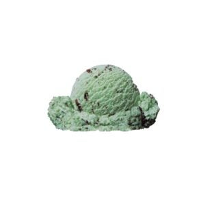 Mint Chocolate Chip Ice Cream | Raw Item