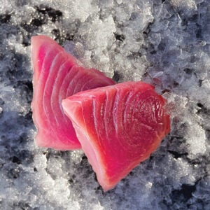 Tuna Filet
