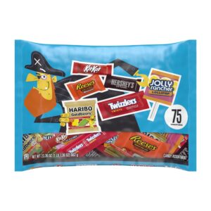 Assorted Halloween Candy | Packaged