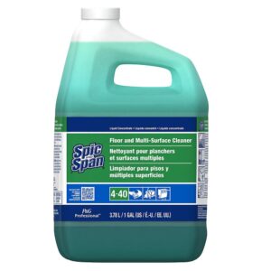 Spic & Span Floor Cleaner | Packaged