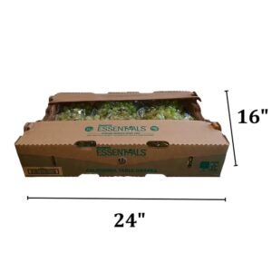 Seedless Green Grapes | Corrugated Box