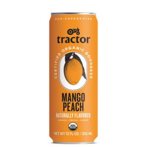 JUICE MANG PCH ORGNC RTD 12-12FLZ | Packaged