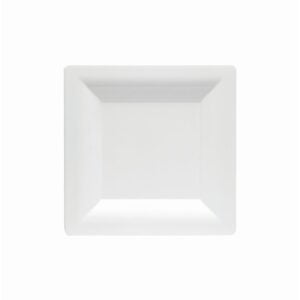 6″ Square White Plastic Plates | Raw Item