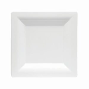 10″ Square White Plastic Plates | Raw Item