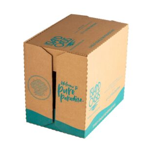 Pina Colada Mixer | Corrugated Box