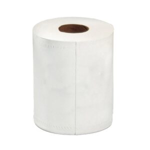 Center-Pull Roll Towels | Raw Item