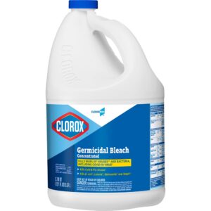 Clorox Bleach | Packaged