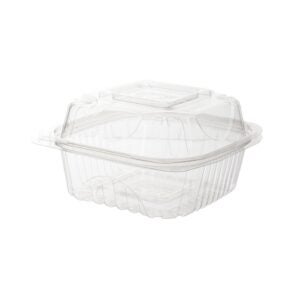 6 x 6 x 3 Inch Plastic Containers, Clear, Hinged | Packaged