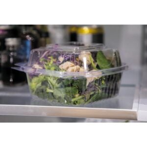 6 x 6 x 3 Inch Plastic Containers, Clear, Hinged | Styled