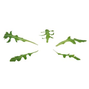 Organic Arugula | Raw Item