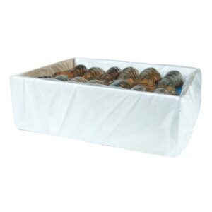 LOBSTER TL NATLC 5-6Z 10#AVG | Packaged