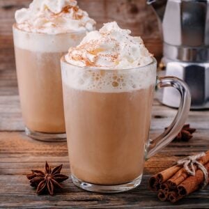 SYRUP CINN PLAS 1LTR MONIN | Styled