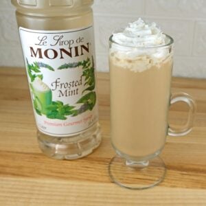 SYRUP FRSTD MNT PLAS 1LTR MONIN | Styled