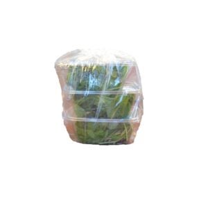 Mint | Corrugated Box