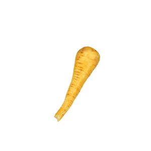 PARSNIP FRESH 1-25# | Raw Item