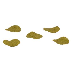 Spinach & Kale Sea Salt Chips | Raw Item