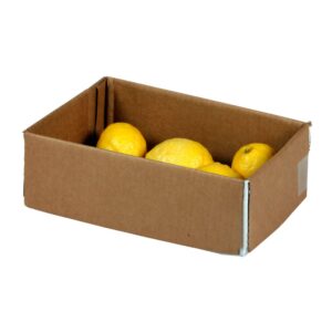 1-2# LEMONS FANCY CALIF | Packaged