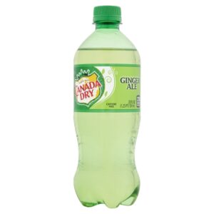 Soda Ginger Ale 20 fl oz | Packaged