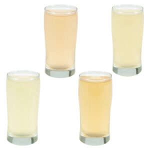 Assorted Juice Pouches | Raw Item