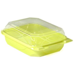 6 x 8 Plastic Container | Raw Item