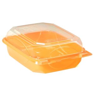 6×8 Plastic Container | Raw Item