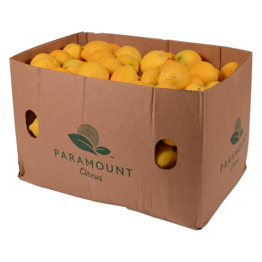 Lemon 165ct - Gordon Restaurant Market