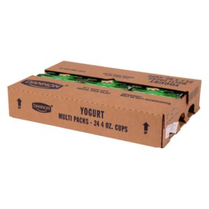 YOGURT VANILLA ACTIVIA 24-4Z DANN | Corrugated Box