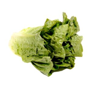 Romaine Lettuce | Raw Item