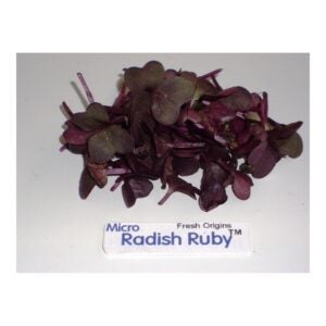 Granulated Sugar | Raw Item