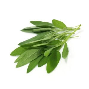 SAGE FRSH 1# MRKN | Raw Item