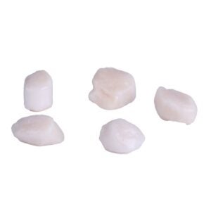 Domestic Sea Scallops | Raw Item