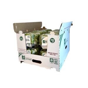 Butter Bibb Lettuce | Packaged