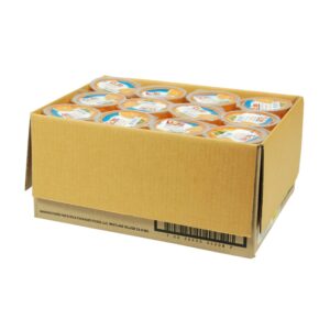 Mandarin Oranges in Syrup | Packaged