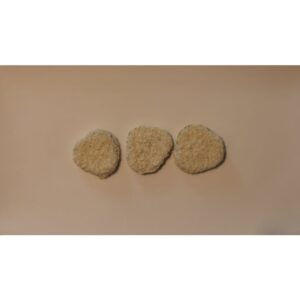 Panko Breaded Pickle Chip Appetizer | Raw Item