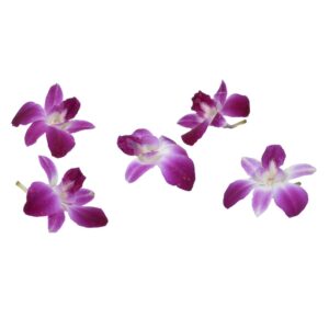 ORCHID GARNISH 50CT P/L | Raw Item