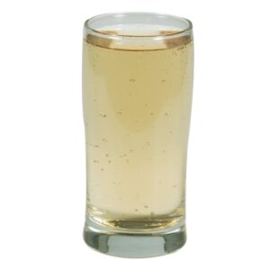 Diet Ginger Ale | Raw Item