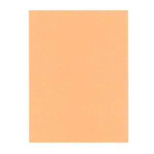 Bauducco Chocolate Wafers | Raw Item